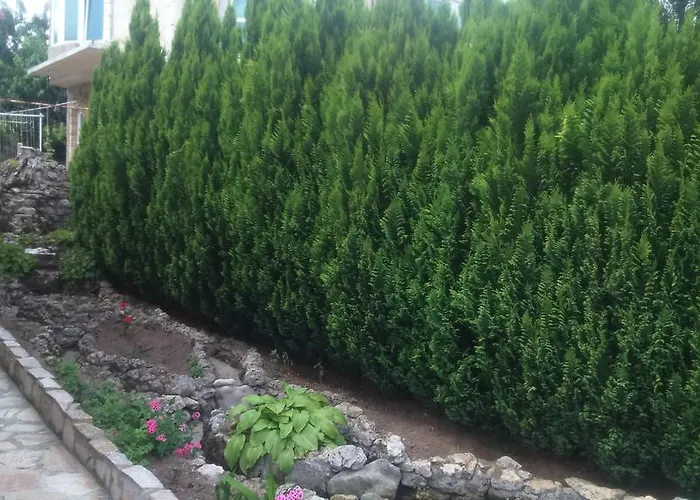 Enjoy 3* Złote Piaski